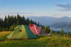 Publiplas|tourist tents are green misty forest mountains 146671 18467
