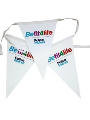 VINYL PENNANTS